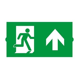 Пиктограмма EMGP-DIRECT-UP (Вверх) (Arlight, Пластик)